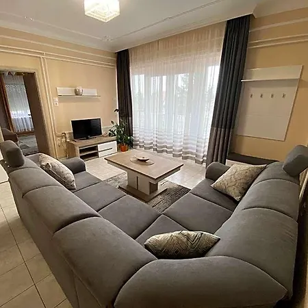 فندق Sarga-haz 4*
